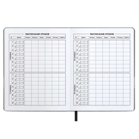 School diary for grades 1-11 Crazy Hand, hard cover with artificial leather foam, foil embossing, 48 sheets, an offset block 80g/m2, universal cheat sheet-3