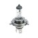 Avs Vegas, H4, 24 V, 75/70 watts lamp