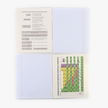 Subject notebook A5, 48 liters on the clip “Neon. Chemistry »Soft touch lamp, 3D varnish-2