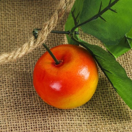 Flood "Link of apples" 5 pcs 50 cm-1