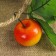 Flood "Link of apples" 5 pcs 50 cm