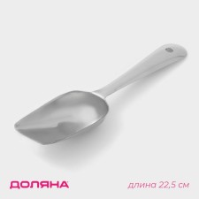 A huel for ice made of stainless steel of a share, length 22.5 cm, chrome color