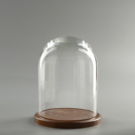 Glass dome -slosh on a wooden stand "Vincent - 1", 20x15 cm, brown-2