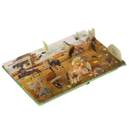 100 secret windows. Animals-3