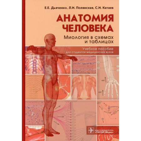 Human anatomy: myology in diagrams and tables. Dyachenko E.E., Polyanskaya L.I., Kataev S.I.