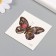 Tattoo on the body color "Black butterfly" 6x6 cm