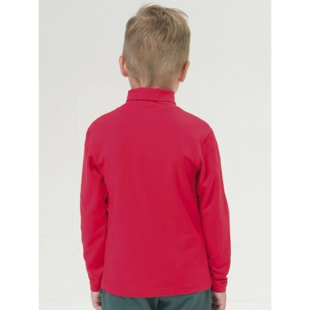 Turtleneck for the boy Pelican, height 110 cm, red color-2