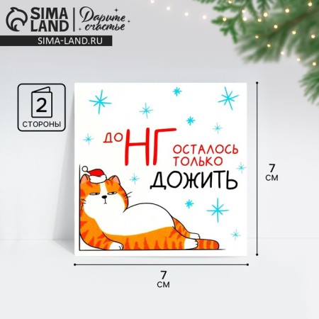 Cards-Mini “It remains only to survive to NG”, Kotyara 7 x 7 cm, New Year