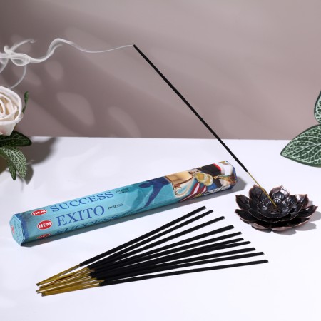 Incense hem "Success. Success", 20 wands in packaging, hexagon