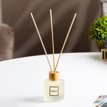 Fansy Diffusor "Fancy" 50 ml based on Kelvin Klein "Euphoria"-1
