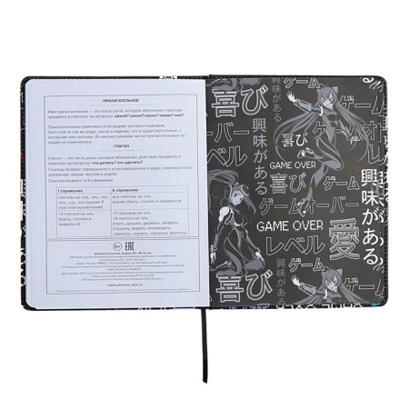 Universal Diary Grade 1-11, 48 sheets of "cyberism", solid cover of artificial leather, lies, universal cheat sheet, block 80 g/m2-11
