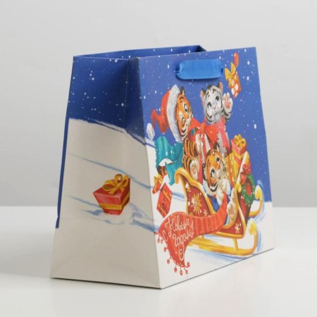 Laminated horizontal package "Funny Tigers", MS 18 x 23 x 10 cm, New Year-1