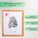 Photo frame 40x50 cm (2503) wood (plastic screen)