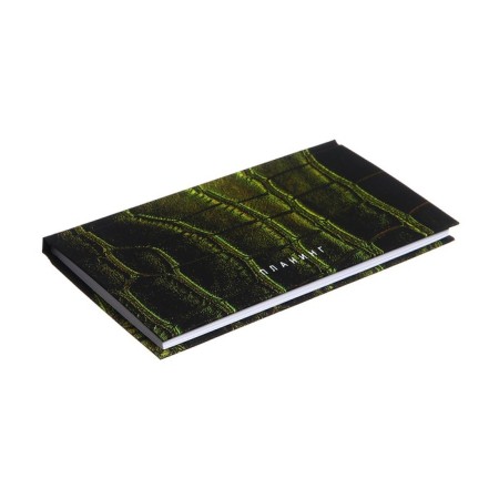 PROVING PROMMAN LEARTED 170 x 95 mm, 64 sheets "Green", solid cover, lamination Soft Touch, block 70 g/m2-1
