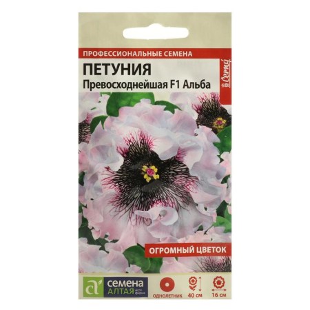 Flower seeds Petunia "Excellent Alba", this. ALT, c/n, 10 pcs