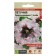 Flower seeds Petunia "Excellent Alba", this. ALT, c/n, 10 pcs