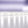 Maytoni Led Strip 10173, 24V, 5 m, IP65, 5050, 14.4 W/m, 10x2.3, 6000K, monochrome