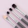 A set of makeup brushes, 7 items, in a plastic case, color mix