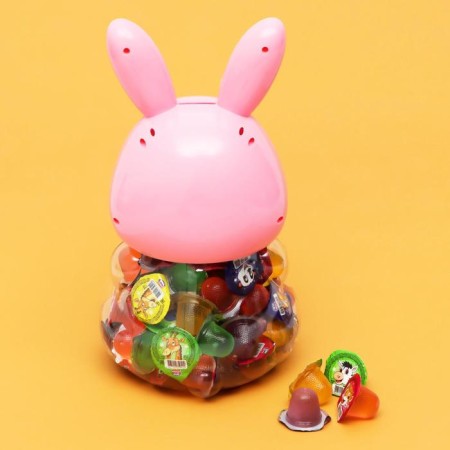 DEMENTARY LEARY "CAN CLOW" Rabbit, Assorted +Piggy Code, 13 g-1