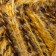 Yarn "cotton grass" 65% cotton 35% polyamide 220 m/100g (9250 different)
