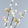 A set of clothespins for decorating the willow "with a bright Easter", 10 x 12 cm.