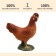 Figure "On the farm: chicken"