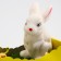 Easter decor "Bunny on the grass" 24 × 19 × 23 cm
