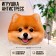 Antistress Pillow "Spitz"