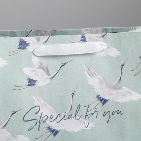 Gift Craft horizontal package, packaging, Special for You, 27 x 23 x 11.5 cm-2