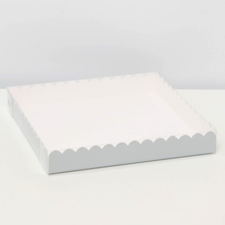 Box for cookies, silver, 20 x 20 x 3 cm