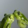 Souvenir Polystone "Frog-Kilus" 6x11x12 cm