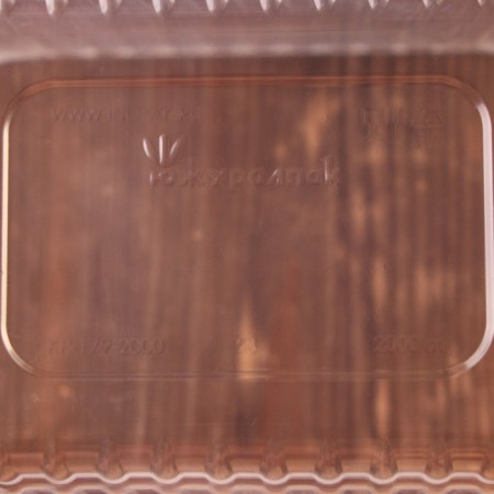 Container Plastic disposable “Yuzhuralpak”, KR-179, 2000 ml, 17.9 × 13.2 × 13 cm, transparent color-1