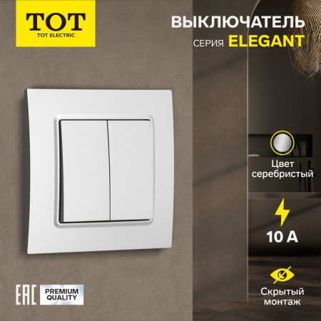 Tot Elegant switch, 10 a, 2 cl., Hidden, silver