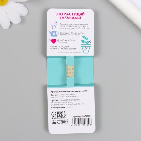 Growing gift pencils Mini "Mint"-1