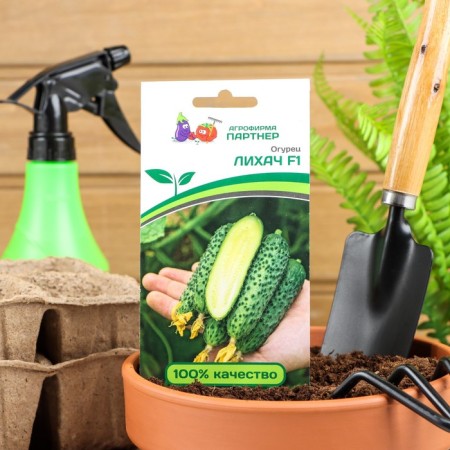 Cucumber seeds "Likhach", F1, 5 pcs.