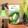Cucumber seeds "Likhach", F1, 5 pcs.
