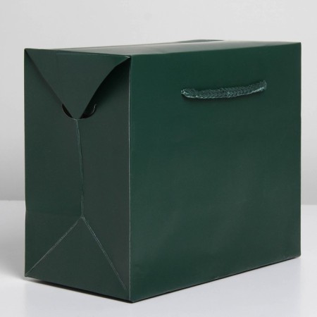 Package - Emerald, 23 × 18 × 11 cm-2