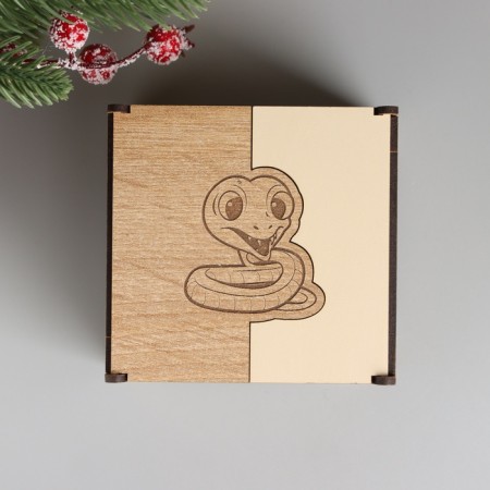 New Year's box combined "Little snake" 10.5x10x7 cm