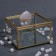 Organizer for storage "Mountains", with a lid, glass, with a mirror -bottom, 1 section, 10 × 10 × 6 cm, the color is transparent/copper