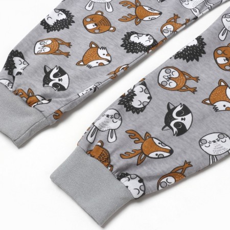 Pajama for a boy (longshilly/pants), gray/hedgehog color, height 98cm-6