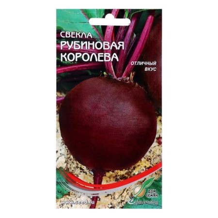 Beets "Rubin Queen", 110 pcs-4