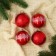 Set of balls plastic D-5.5 cm, 4 pcs "New Year's Fun" Winter Forest, Red