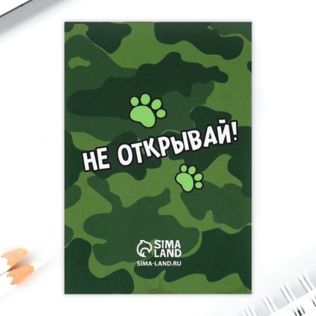 Gift set: notebook, handle-filter and eraser "Real Hero"-10