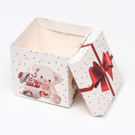 Self -charged box "Bear" 15x15x15 cm-3