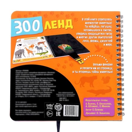 Secret book with a magic flashlight "Zoland", 22 p.-5