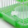 A cage for rodents equipped RT-2Q, 22 x 16 x 20 cm, green (packing 30 pcs)