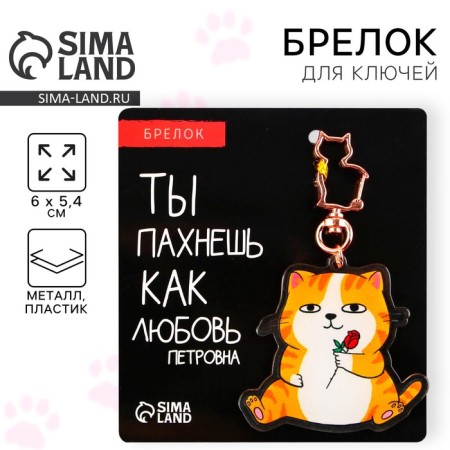 Acrylic core keychain "Kit", 6 x 5.4 cm