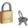 Castle of hinged "bison Professional" mini, brass case, 20 mm