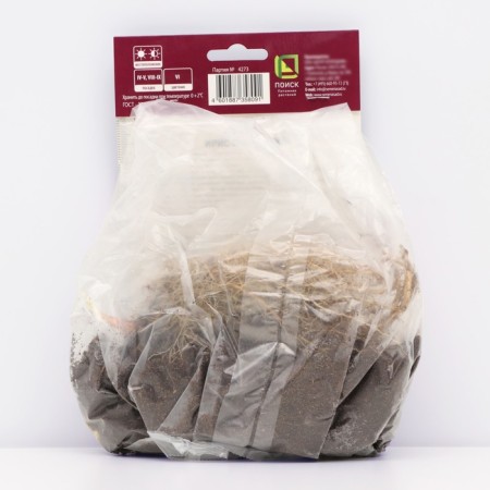 Iris Siberian Drink Yo Ti, Rr. I, 1 pc, Spring 2025-1