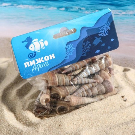 Set of shells, 3 - 5 cm, 100 g-3